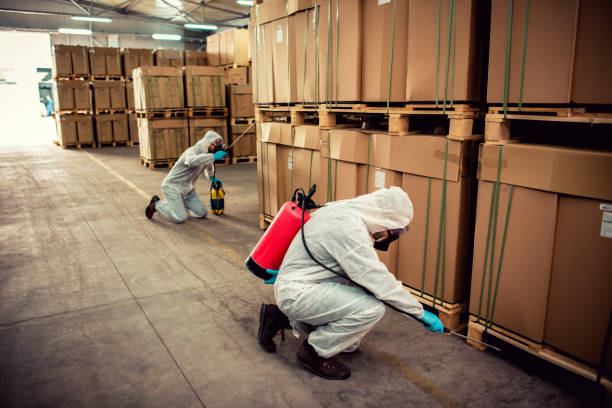 Best Rat Extermination Near Me  in Buffalo, MN