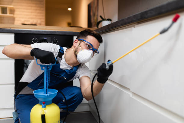 Flea Control Services in Buffalo, MN