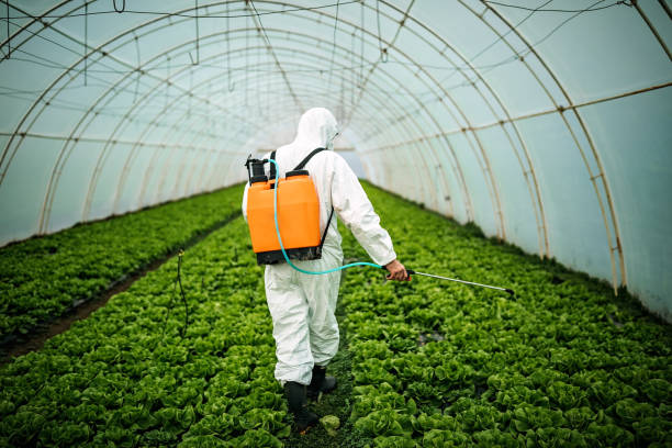 Best Pest Removal Services  in Buffalo, MN